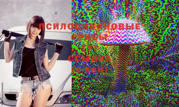 ПСИЛОЦИБИНОВЫЕ ГРИБЫ Армянск