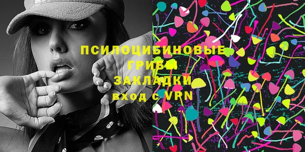 PSILOCYBIN Аркадак