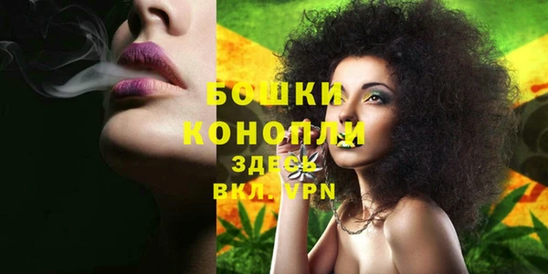 ПСИЛОЦИБИНОВЫЕ ГРИБЫ Армянск