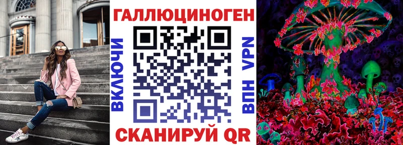 Купить где  Геленджик  Псилоцибиновые грибы Psilocybe 